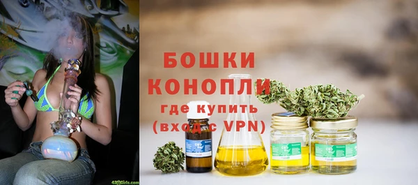 винт Горно-Алтайск