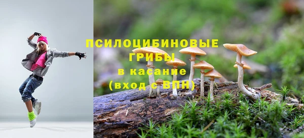 СК Горняк