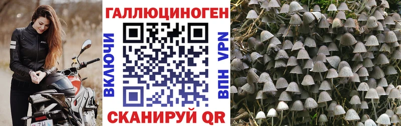 Псилоцибиновые грибы мухоморы Алатырь