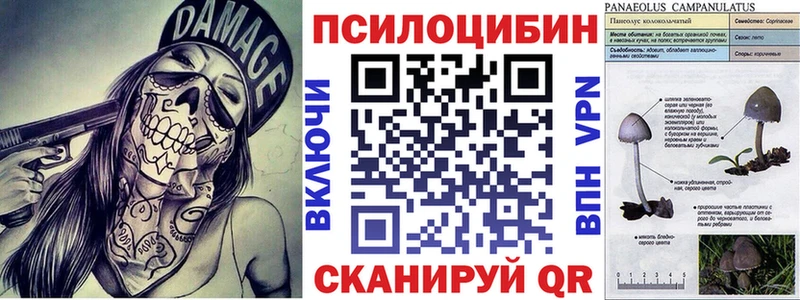 Псилоцибиновые грибы MAGIC MUSHROOMS  Купить  Алатырь 